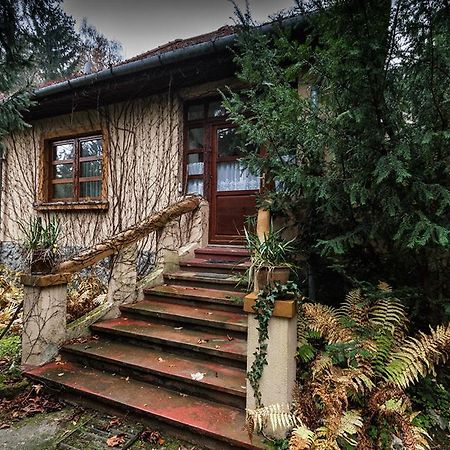 Boroka Apartmanhazak - Oereghaz ヴェラム 部屋 写真