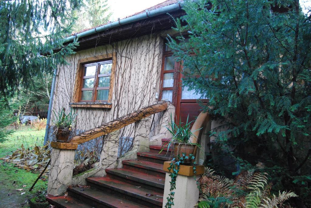 Boroka Apartmanhazak - Oereghaz ヴェラム 部屋 写真
